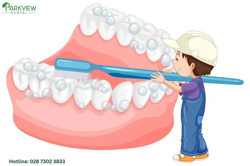 Cách chăm sóc răng sau khi cấy ghép Implant